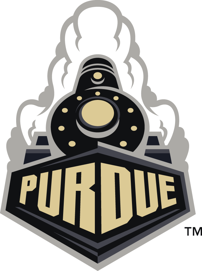 Purdue Boilermakers 2012-Pres Alternate Logo t shirts DIY iron ons v2